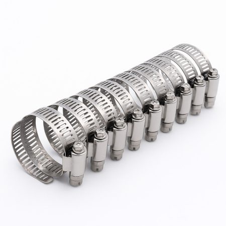 Worm Drive Clamp